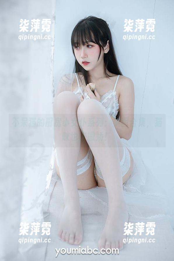 不呆猫的厨房小女仆系列：美图合集，猫咪也来撒娇！